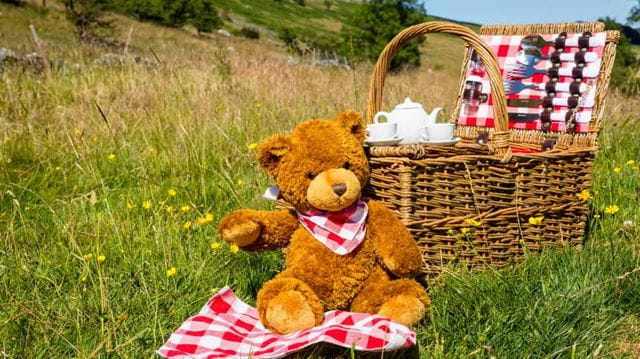 Teddy bears picnic